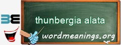 WordMeaning blackboard for thunbergia alata